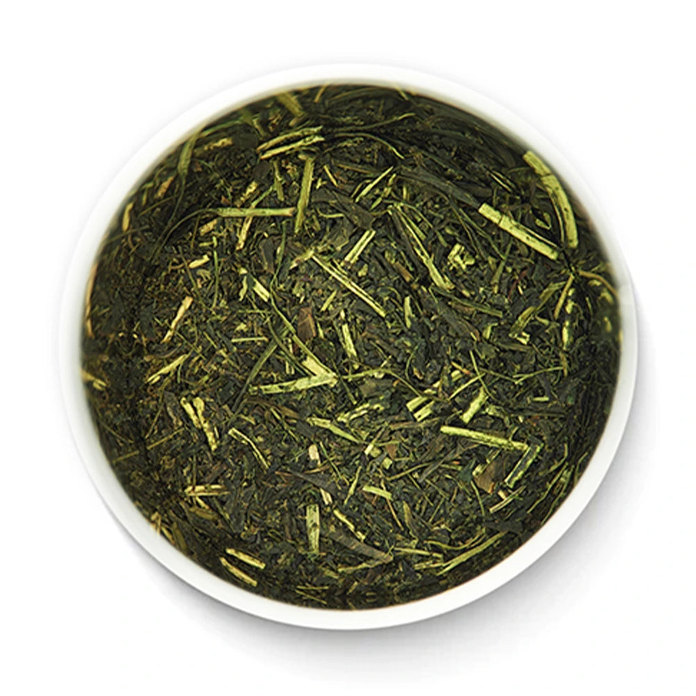 Fukamushi Sencha Japanese deep steamed loose leaf green tea in tea tin on white background