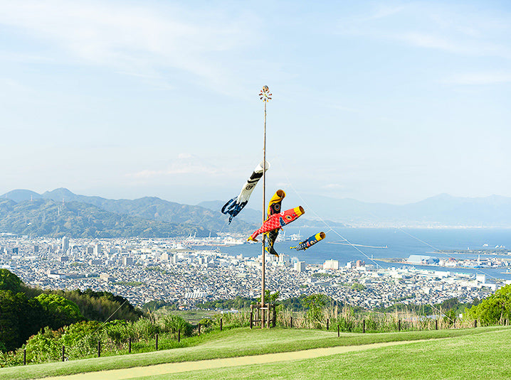 A Green Tea Lover's Paradise: Shizuoka, Japan