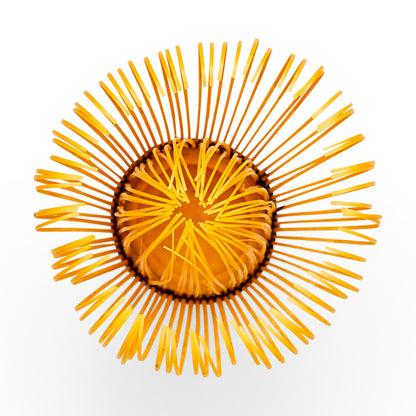 Bamboo Matcha Whisk (Chasen) - 100 Tip