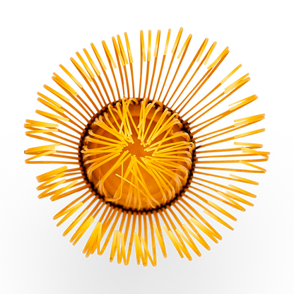 Bamboo Matcha Whisk (Chasen) - 120 Tip