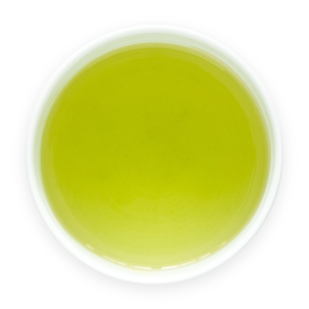 Brewed Japanese fukamushi sencha deep steamed green tea in a white cup on a white background