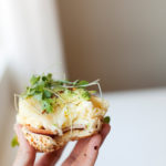 Hand holding macro-friendly egg and havarti bagel.