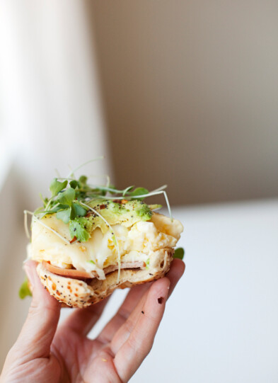 Hand holding macro-friendly egg and havarti bagel.