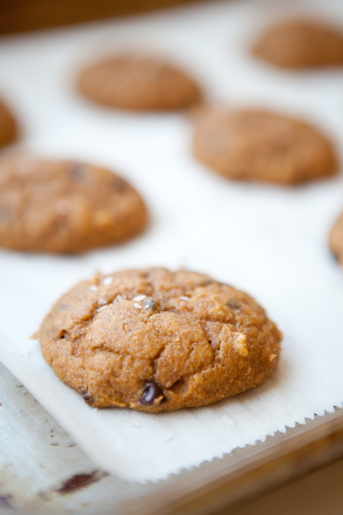 Macro Friendly Pumpkin Chocolate Chip Cookie www.lillieeatsandtells.com