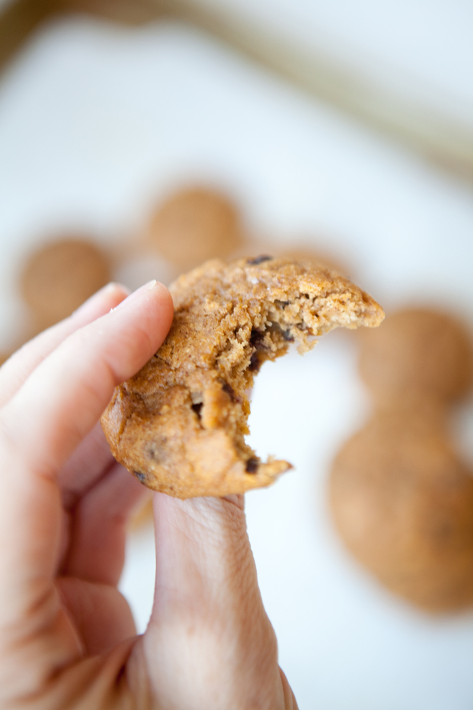 Macro Friendly Pumpkin Chocolate Chip Cookie www.lillieeatsandtells.com