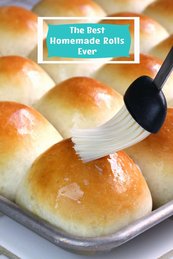 best homemade rolls