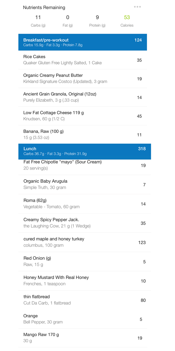 A nutrient tracker page shows a food log for a day of eating, with calorie counts for each item organized by meal. Breakfast totals 124 calories, lunch 318 calories, with items like rice cakes, granola, banana, and curried maple honey yogurt.
