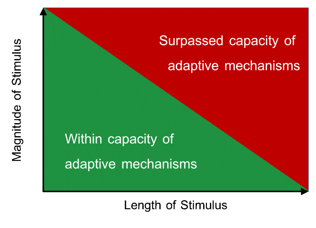 set point conceptual model