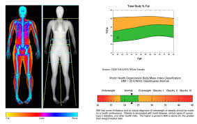 Measuring body fat