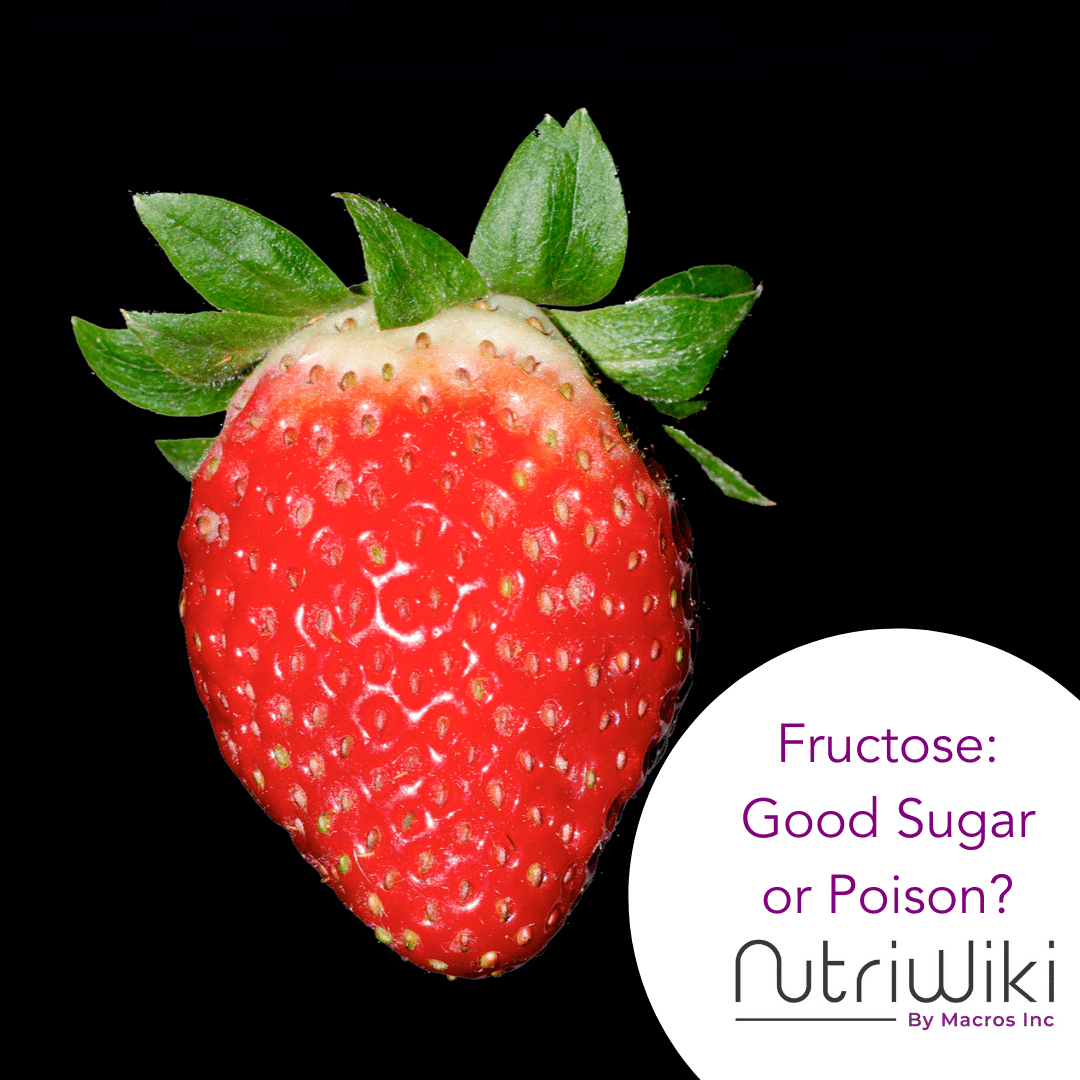 Fructose-NutriWiki