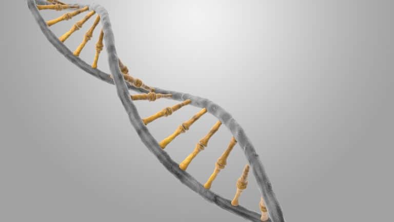 dna-helix-background-image-1-1632628-768x432-1