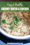 This creamy buffalo chicken is good over and over again! www.lillieeatsandtells.com