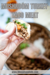 This is a healthy alternative to the standard taco meat recipe. www.lillieeatsandtells.com