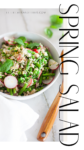 A bowl of fresh Spring Asparagus Grain Salad with rice, asparagus, radishes, peas, and herbs sits on a table next to a wooden spoon; large text reads Spring Salad.