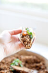 A hand holds a small taco filled with Mushroom Turkey Taco Meat, fresh cilantro, and other toppings, with a blurred bowl of taco filling in the background.