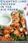 Cilantro Lime Chicken in the Air Fryer www.lillieeatsandtells.com