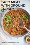 Taco Meat with Ground Turkey www.lillieeatsandtells.com