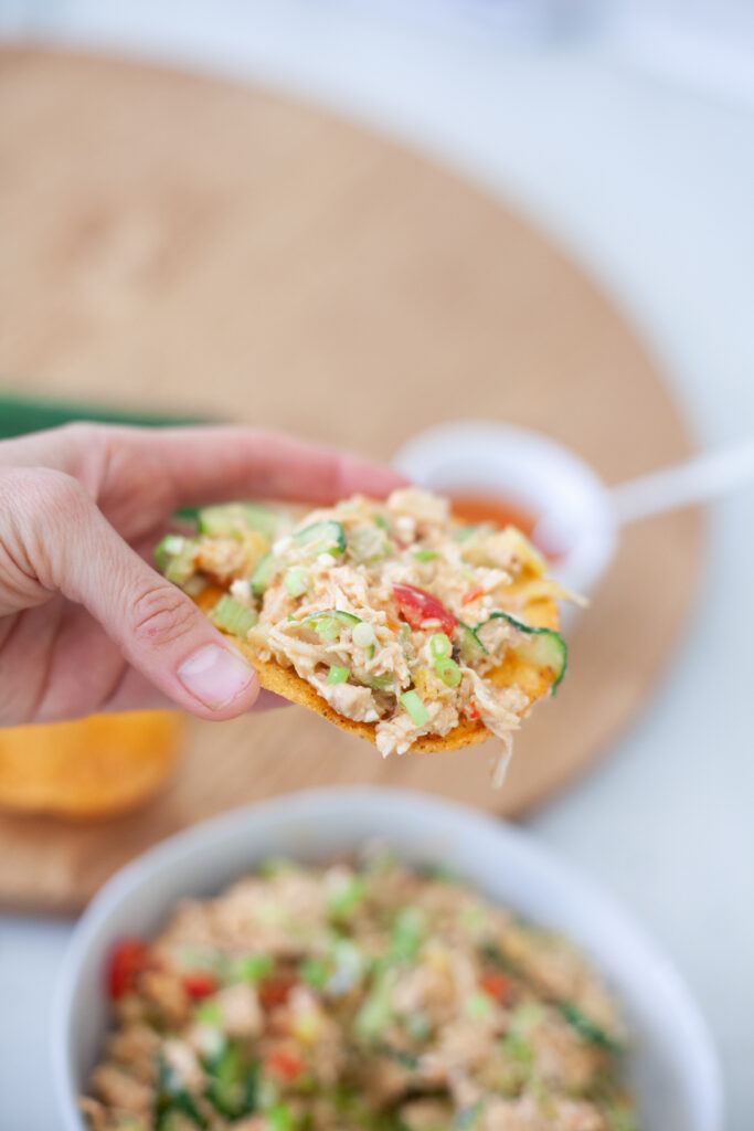 A hand holds a tortilla chip topped with a creamy Romesco Chicken Salad mixture, with a bowl of the same salad and a spoon in the background.
