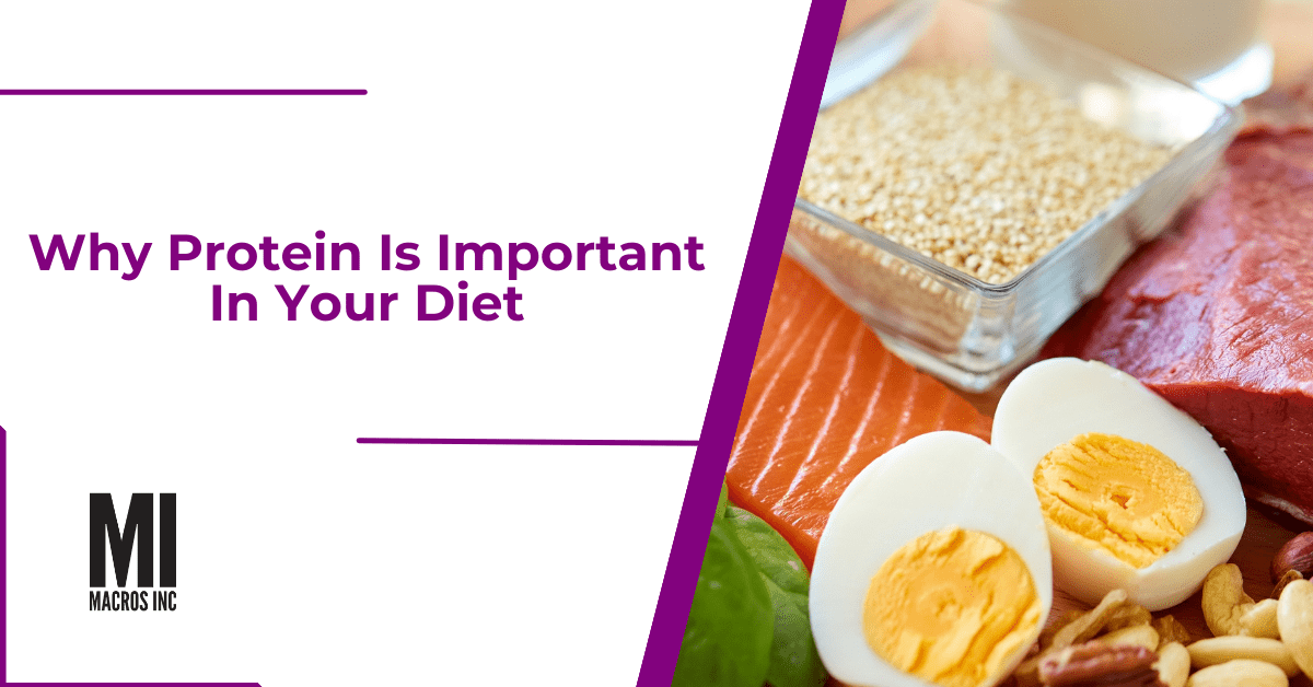 why-protein-is-important-in-your-diet