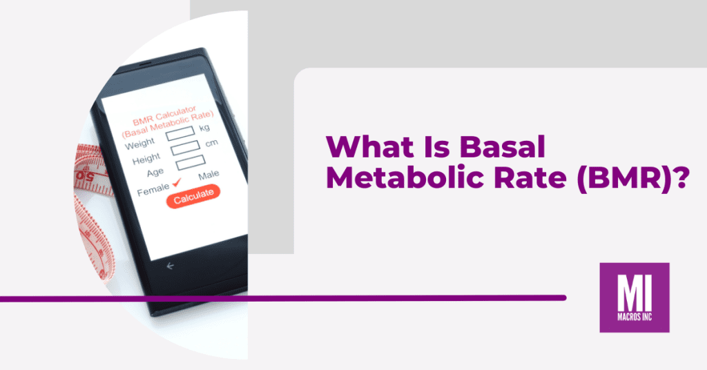 what-is-basal-metabolic-rate-bmr