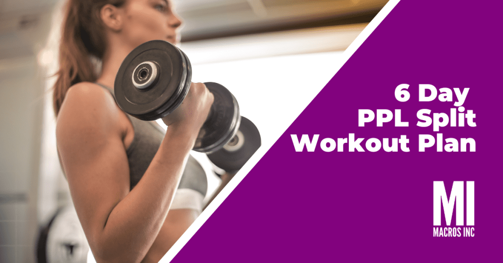 6-day-ppl-workout-plan