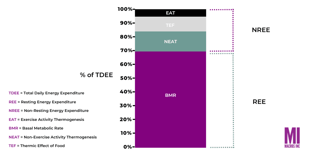 a graph showing the percentages of total daily energy expenditure that BMR (65%), NEAT (20%), TEF (10%) and EAT (5%) take up.