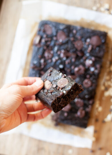 Hand holding chocolate pumpkin snack cake bar.