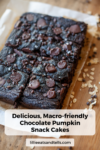A tray of chocolate pumpkin snack cake squares with chocolate chips on top sits on parchment paper, with some oats scattered nearby.