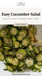 Pinterest Pin of Sesame Cucumber Salad