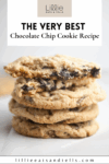 Pinterest pin for chocolate chip cookies.