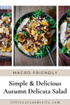 Pinterest pin for autumn delicata salad.