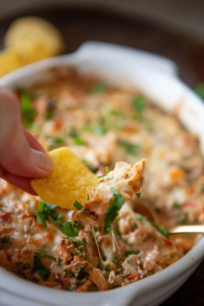 Creamy rotel chicken bake on tortilla chip.