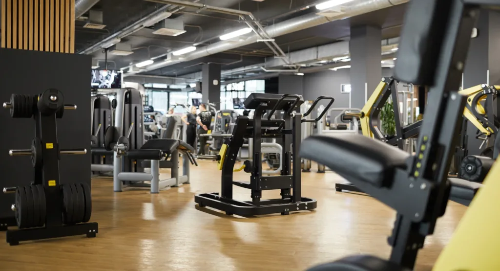 5-Day Gym Workout Split
