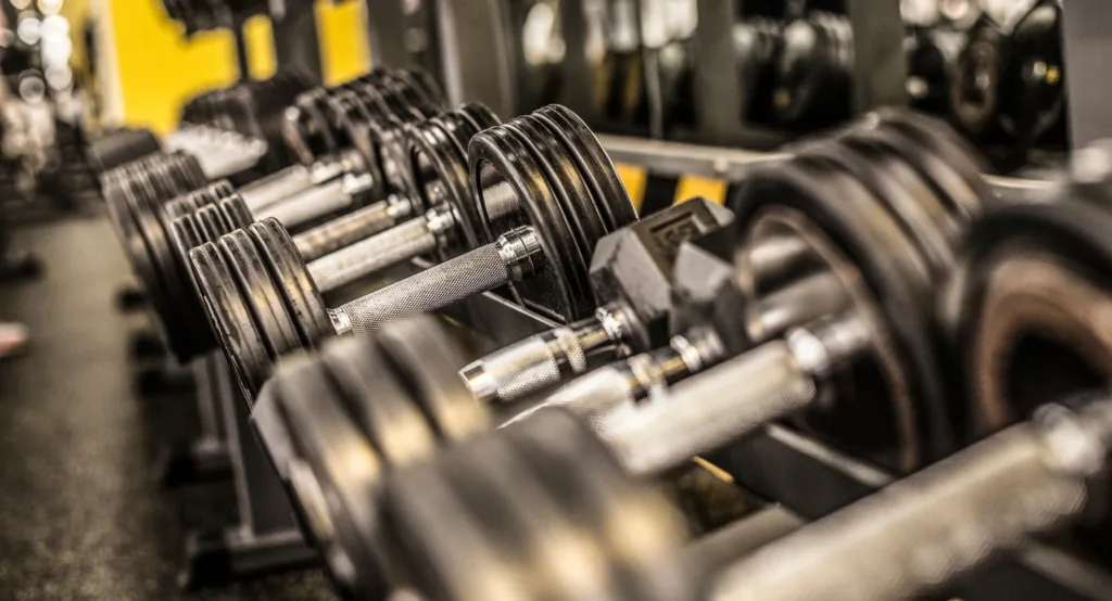 Arnold Split Workout Plan