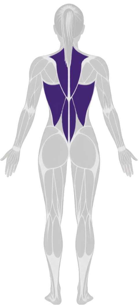 back