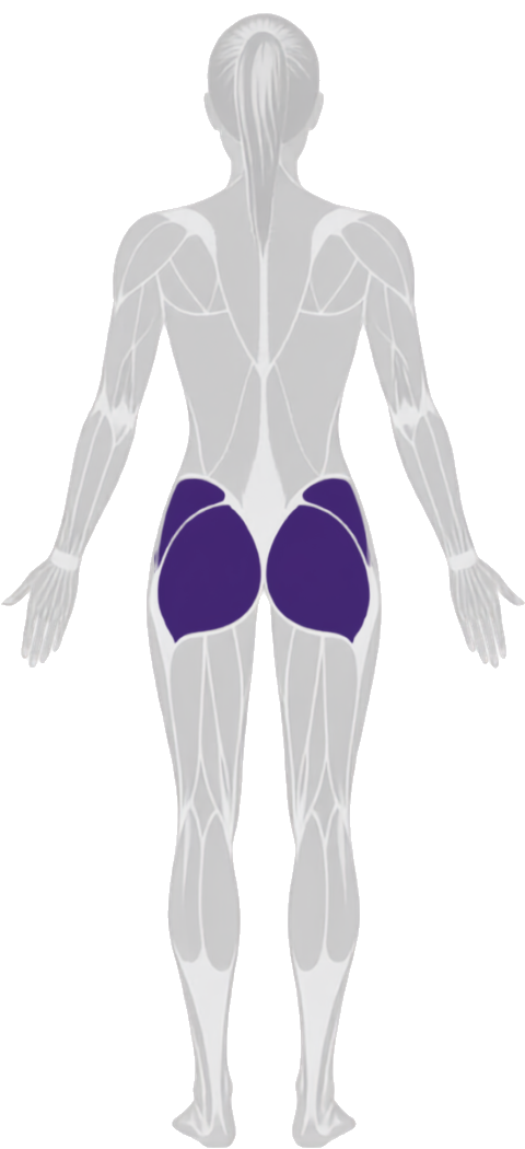 glutes